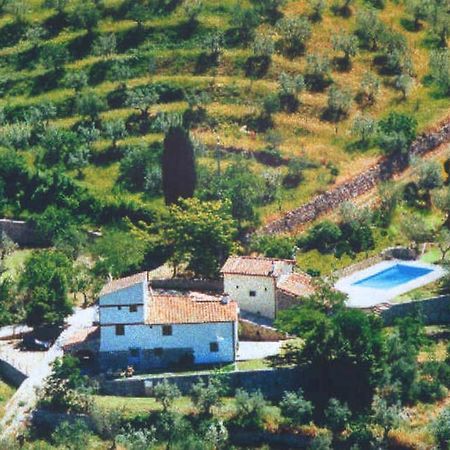 Agriturismo Montereggi Fiesole Cameră foto